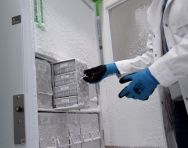 Ultra low Temp. Freezer (-80 C)